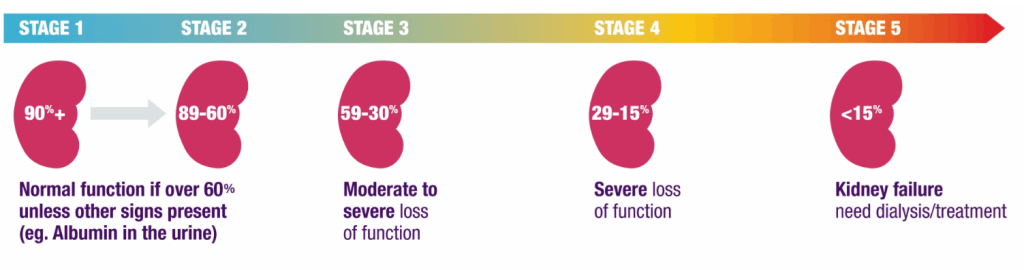 Kidney Health – Irish Kidney Association