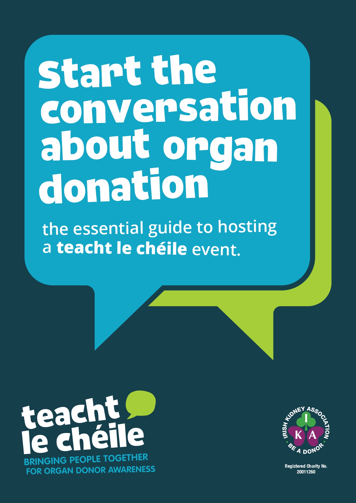 J16741 - Teacht le Cheile toolkit Booklet Web -1_page-0001