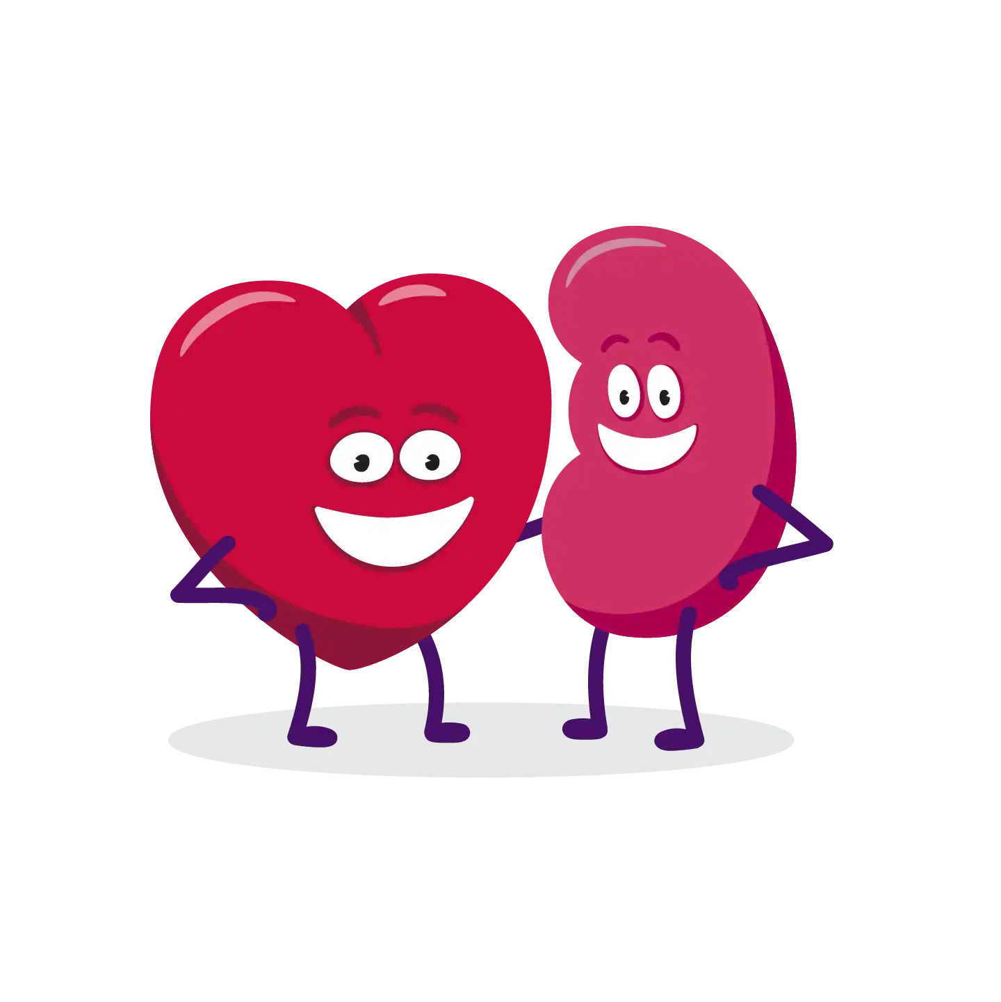 Kidney Health And Heart Health Go Hand In Hand | Irish Kidney Association