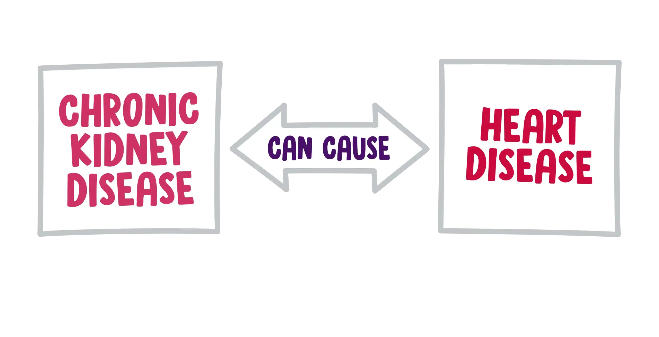 Kidney Health And Heart Health Go Hand In Hand | Irish Kidney Association