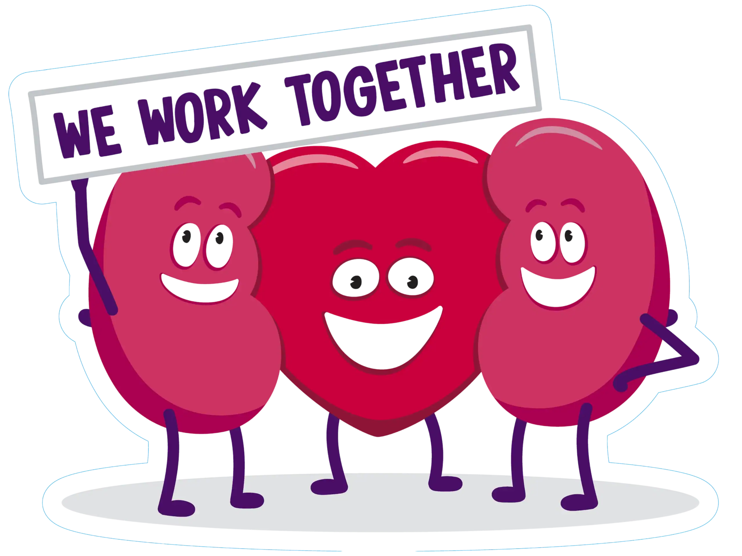 Kidney Health And Heart Health Go Hand In Hand | Irish Kidney Association