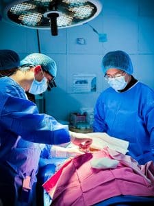 Surgeons performing kidney transplant surgery in an operating room.